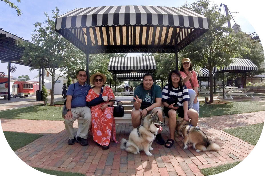 Waterfall and flowers in the Jungle