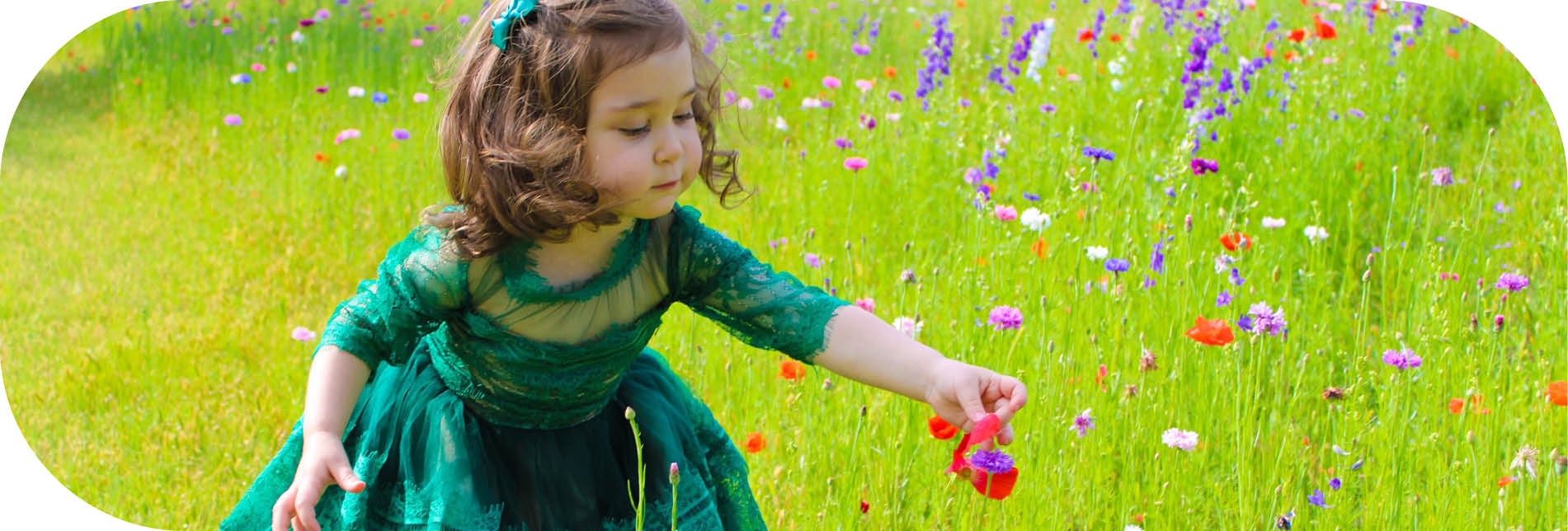Stormy Mountainous Landscape