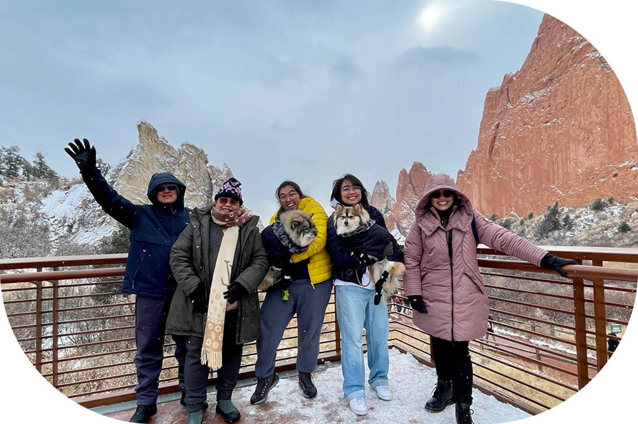 Waterfall and flowers in the Jungle