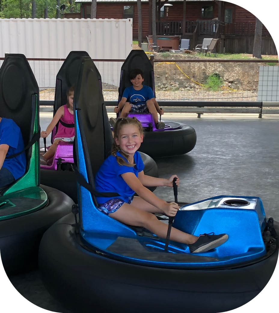 Waterfall and flowers in the Jungle