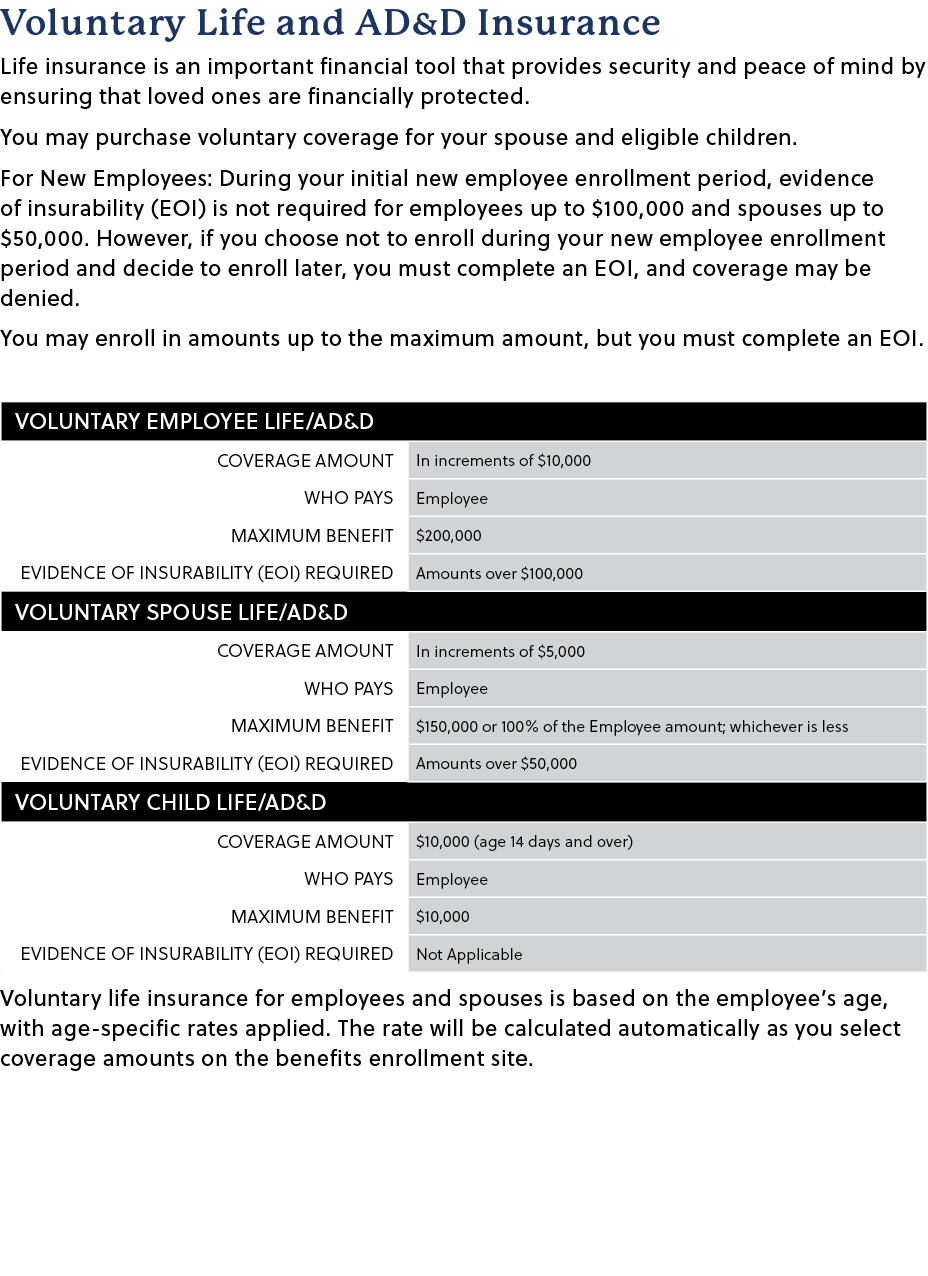 Voluntary Life and AD&D Insurance Life insurance is an important financial tool that provides security and peace of m...