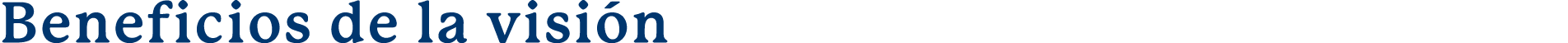  Beneficios de la visi n