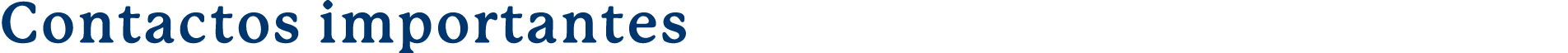  Contactos importantes