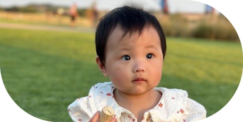 Waterfall and flowers in the Jungle